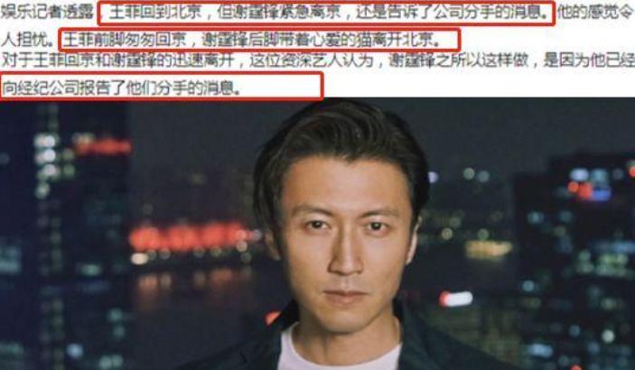 曝谢霆锋与王菲照片,谢霆锋与王菲最新消息关系