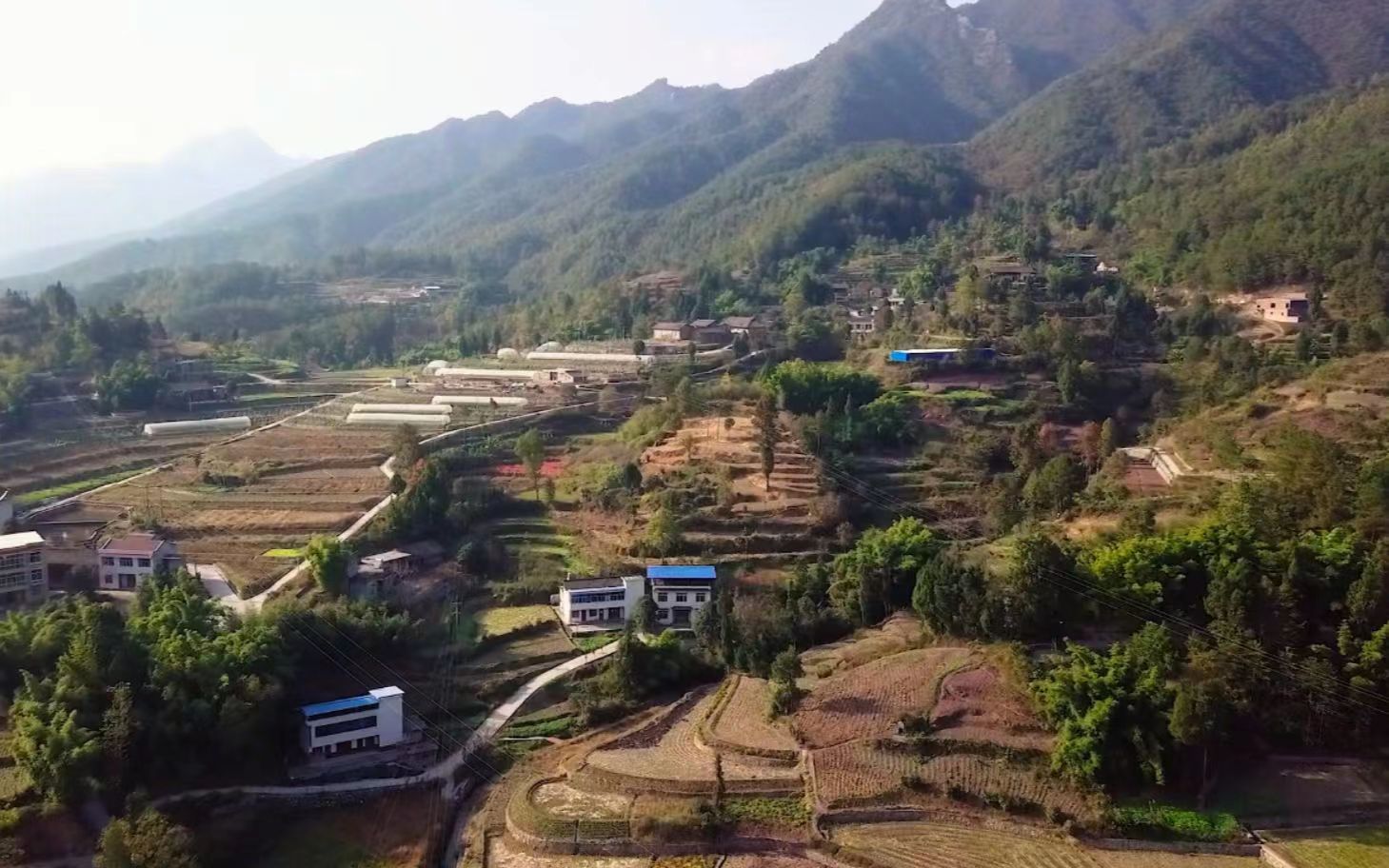 我在农村能干什么挣钱,摆摊卖干果生意的盈利模式