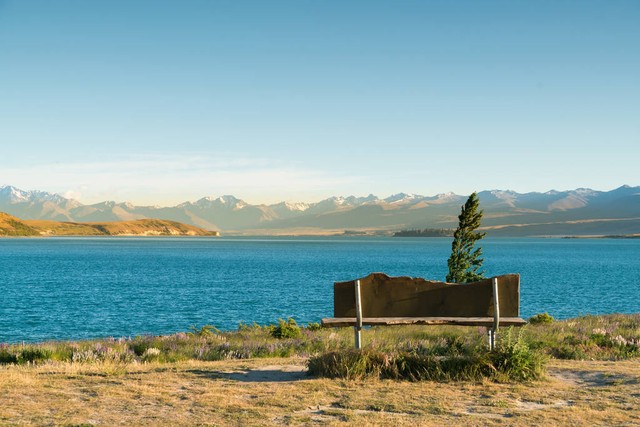 钻石戒指,钻石王老五的艰难爱情全集免费