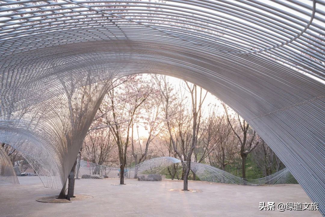 樱花树下的约定字体设计,樱花树下的约定完美国度