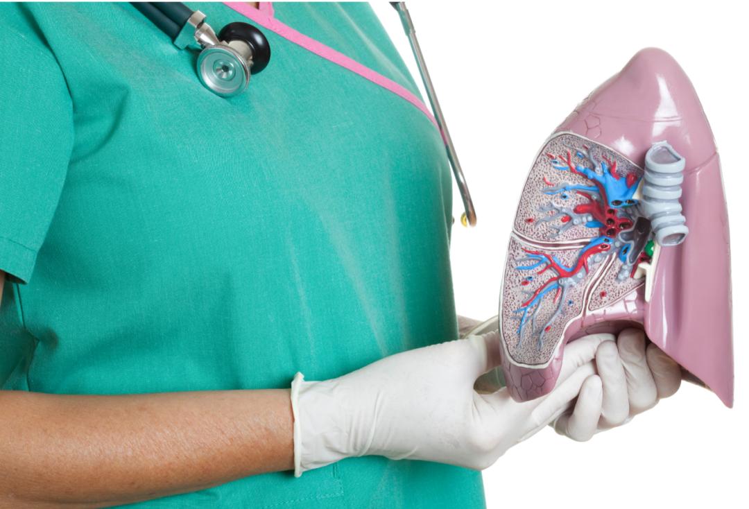 查出一个肺小结节很焦虑,查出肺结节这2件事您必须要知道