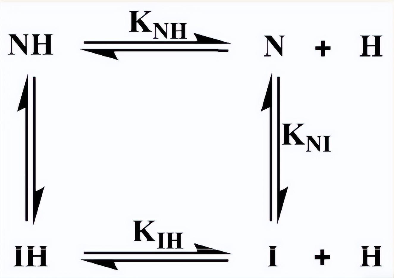 血红素蛋白结构与功能,血红素蛋白的作用效果