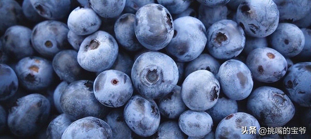 瑞士出产哪些水果,瑞士盛产啥水果