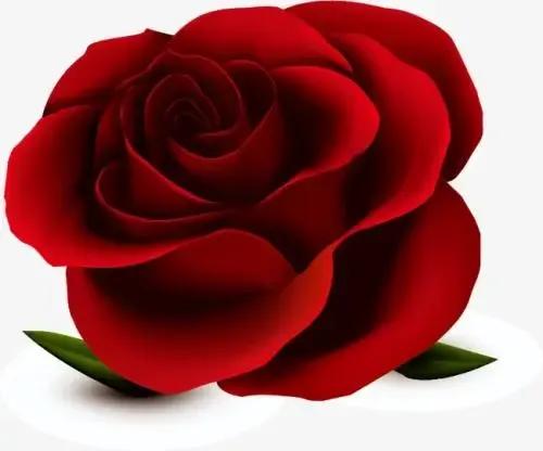 2021年绿汀文学社第6期,2021年绿汀文学社第5期