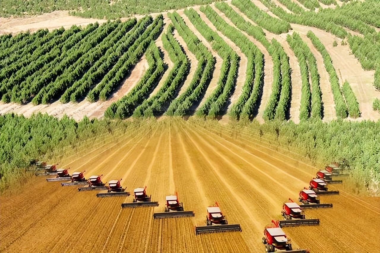 北大荒垦荒什么时候开始的,北大荒退耕还荒原因