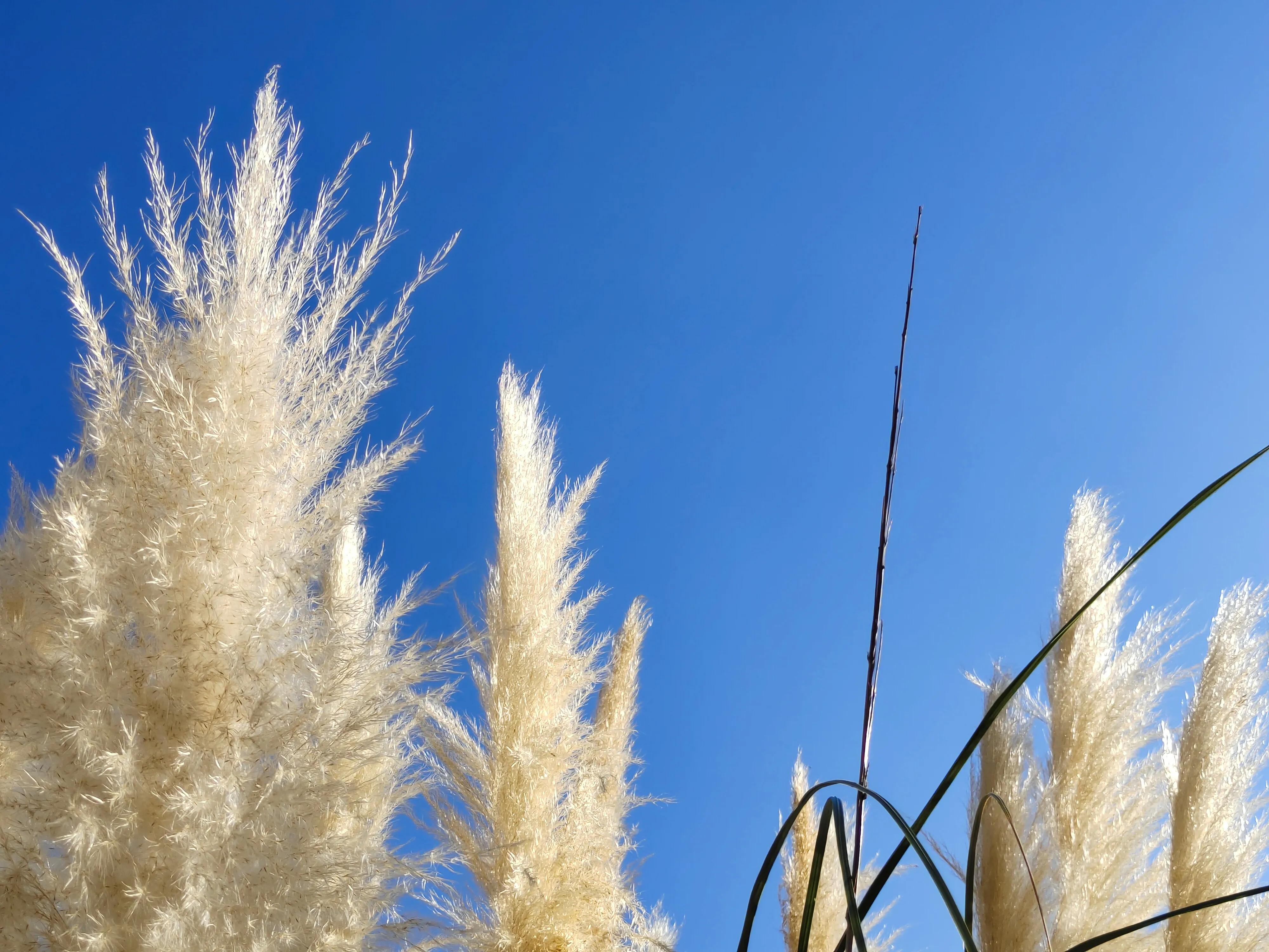 阅读笔记来源是啥,阅读笔记名称