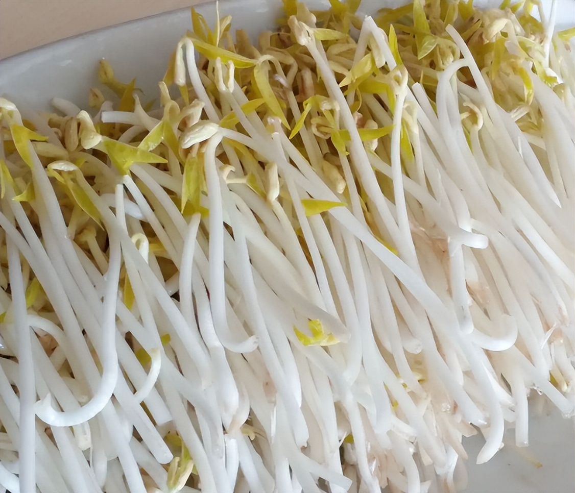 豆皮机加工设备,豆皮加工全自动机器