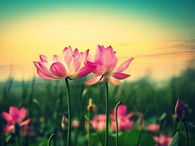 致2023年的自己的一段话励志,2023下半年写给自己的话