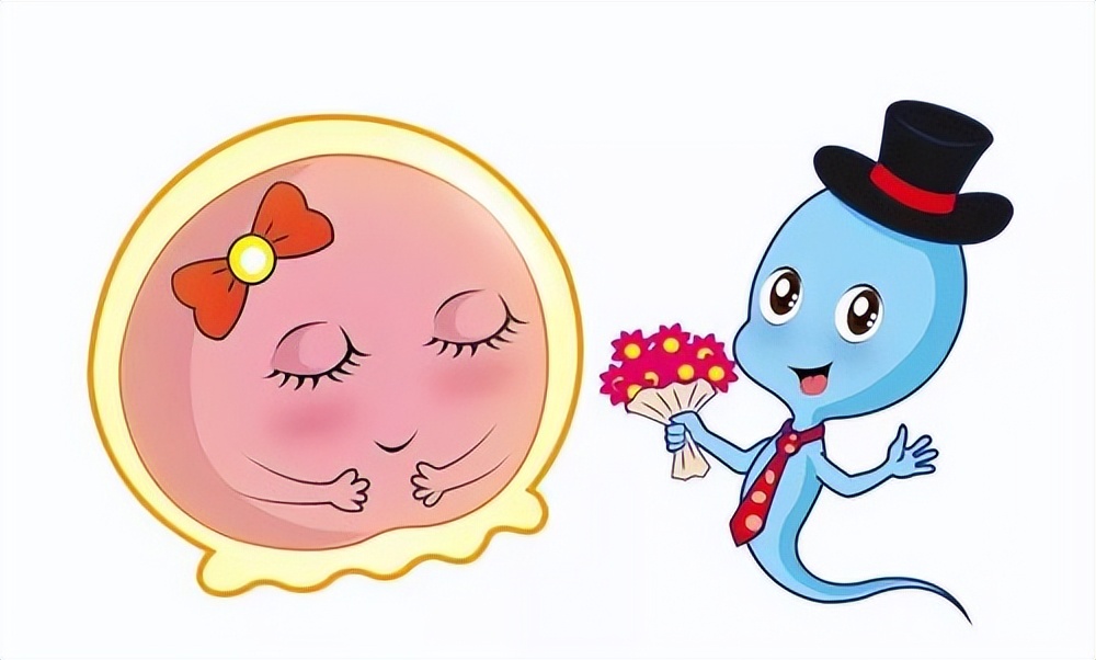 从未怀孕过,没有怀孕过输卵管堵塞怎么回事