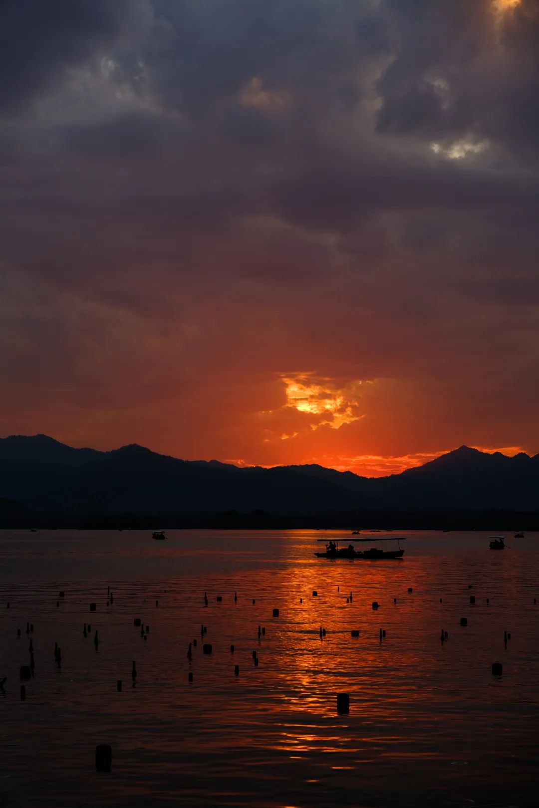 适马85mmf1.4镜头富士卡口,富士适马18-50镜头评测