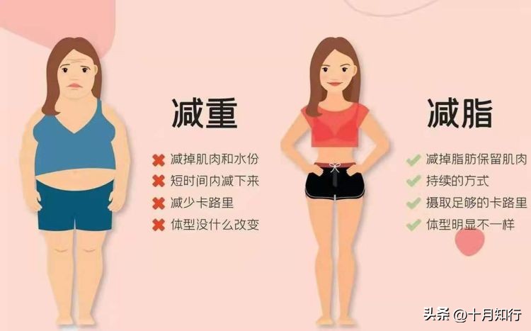 控制饮食不锻炼一个月可以瘦多少,不锻炼全靠饮食多久能瘦