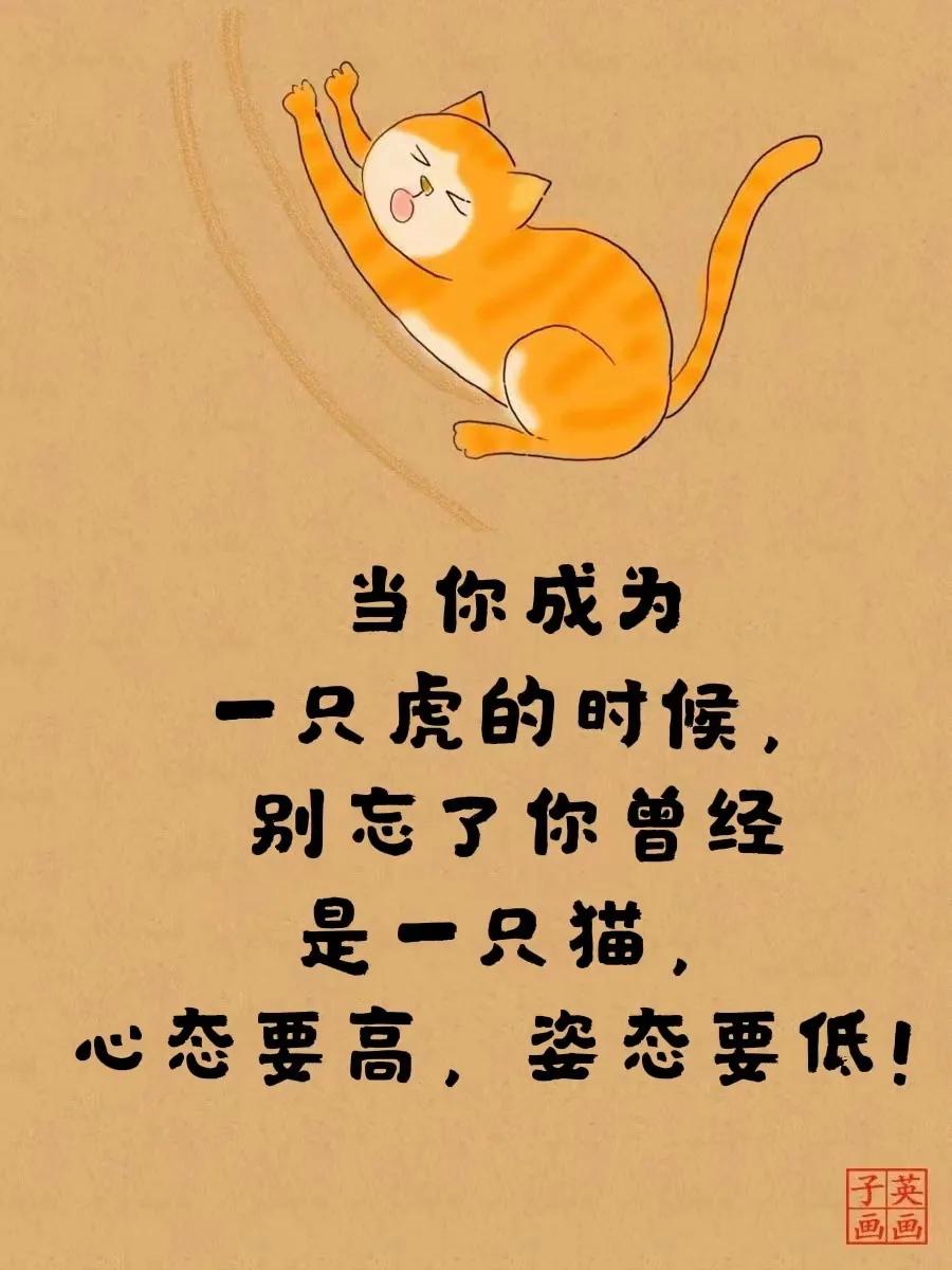 老虎不发威你得拿我当病猫,老虎不发威你不要当我是病猫