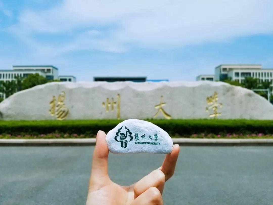 第二轮双一流大学名单扬州大学,双一流大学排名一览表扬州大学