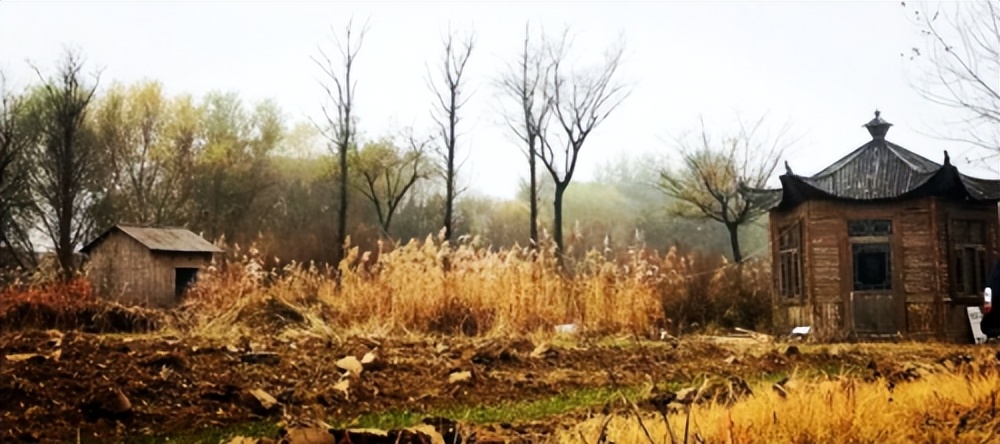 轩逸悦享款驾驶体验,轩逸悦享驾驶感受