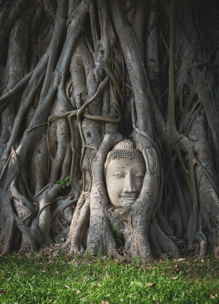 78个真实有趣的照片：山顶的足球场，老树与佛像，老司机脸部皮肤