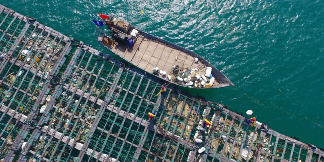 厦门是怎么样的城市,厦门是属于哪个省的城市