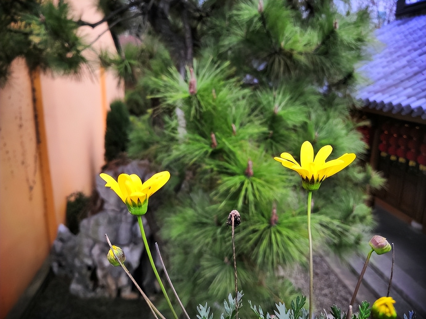 老人去世遗物留不留,家里祖辈过世有何禁忌