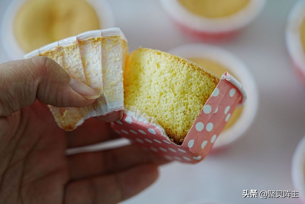 海氏i7烤箱是风炉平炉两用的吗,新款海氏i7烤箱