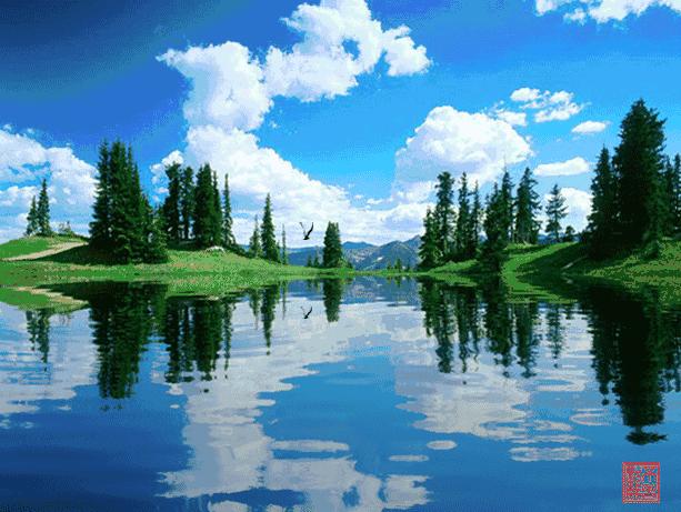 好看的山水花鸟大全,中国风山水花鸟图片