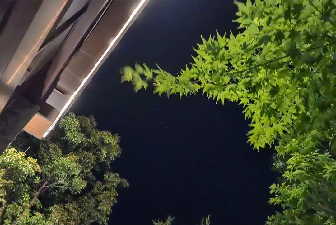 你们都说人多，我却找到一个人少又神仙的地方！