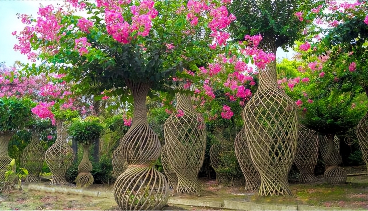 农村自建房庭院门前种什么果树好,东北地区庭院里门前适合种什么树