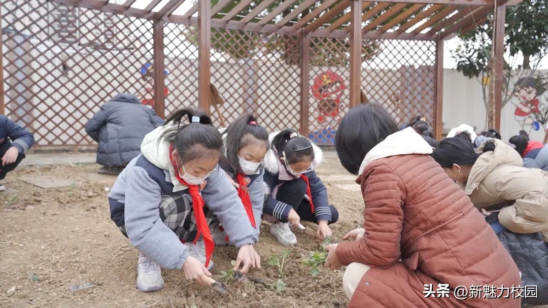 劳动创造幸福创意活动小学,劳动创造美好生活小学活动