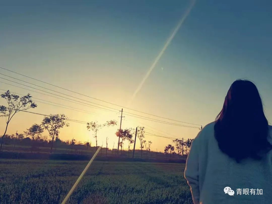 炖鸡蛋羹不熟这是为啥呢,未蒸熟的鸡蛋羹