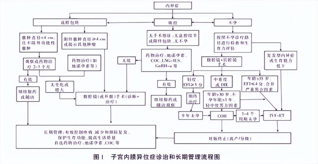 派特灵科普|子宫内膜异位症腔镜诊治术后长期管理专家建议
