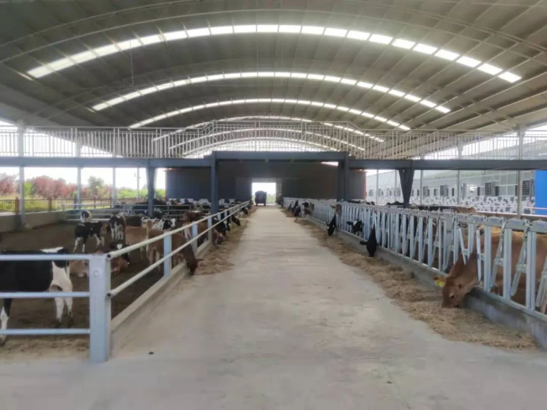 逛吃逛吃歌曲,逛吃逛吃大张伟