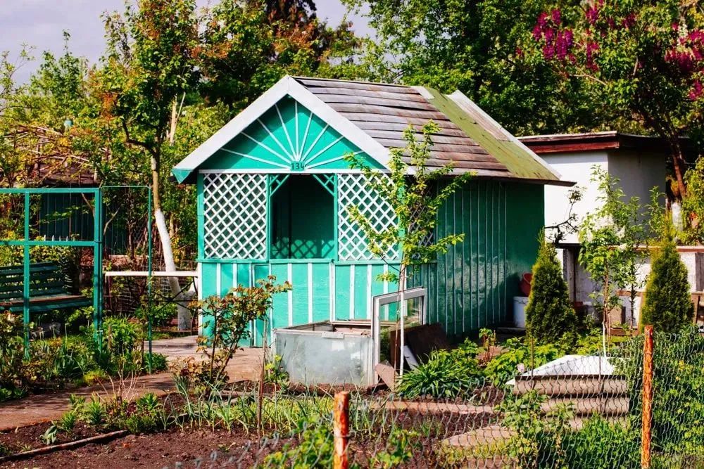 在英国自己种菜什么体验,在英国种菜小技巧有哪些