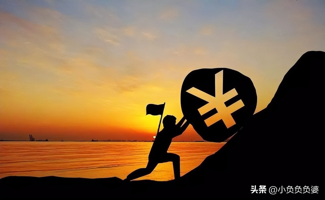 鐧藉珫琛屼笟,鐧藉珫璧氶挶椤圭洰