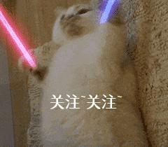 狗狗交配不能随便打断，后果很严重