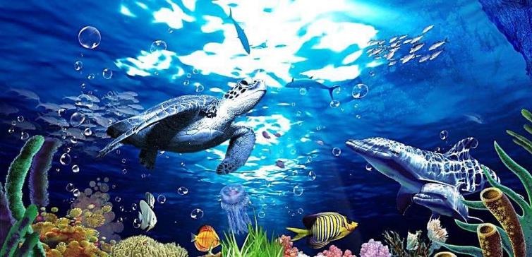 宁波附近自驾游两天一晚攻略,宁波四明山周边一日自驾游免费