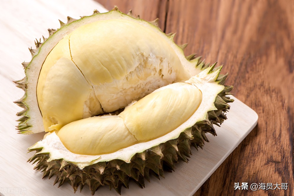 第16章回国全文阅读,小说第16章回国