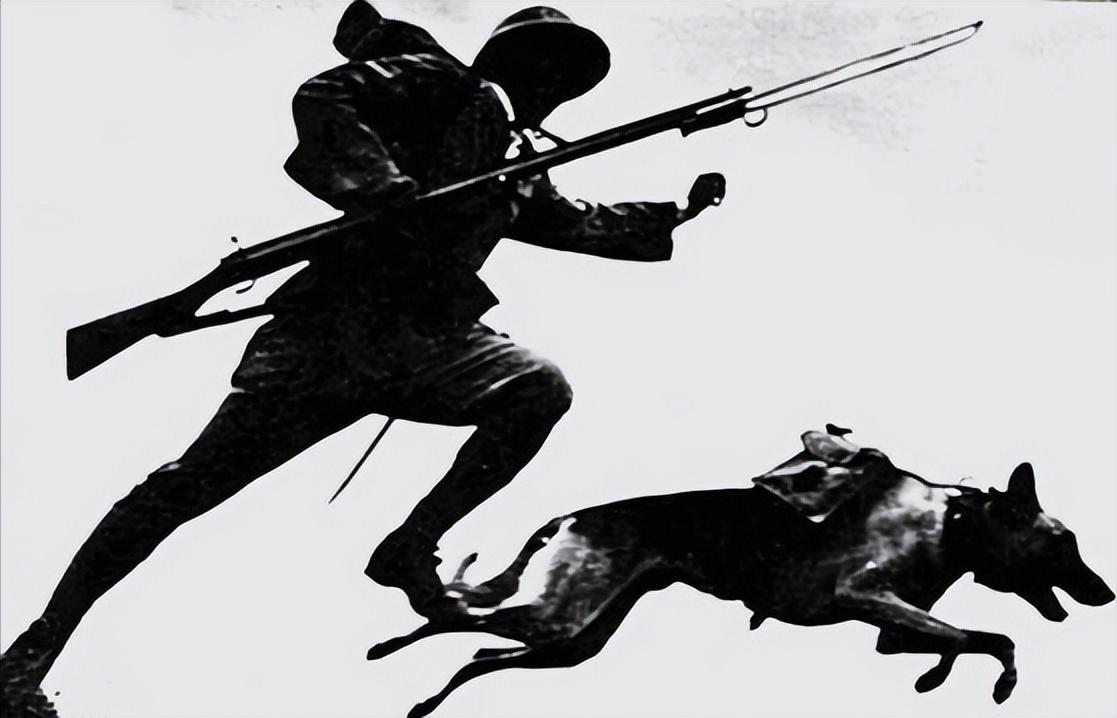 1939年日本狼狗部队,董翰良训练中国狼狗