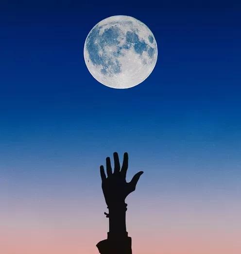 一笑拈花情思乱红尘半世离人怨