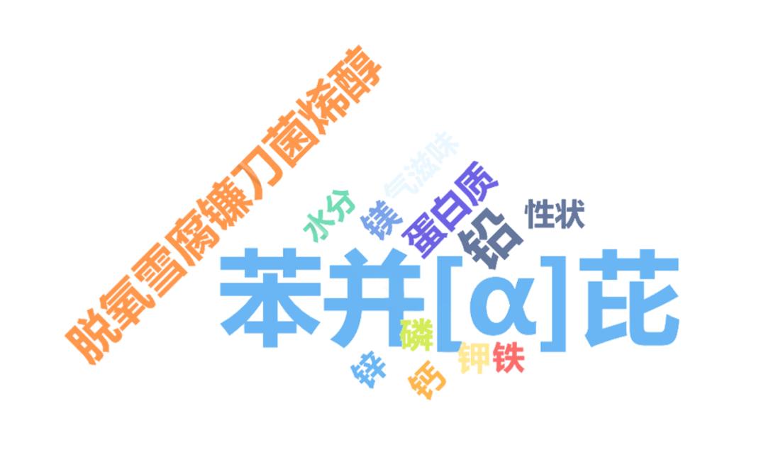 蒸包子真实评测,半发面包子和发面包子测评