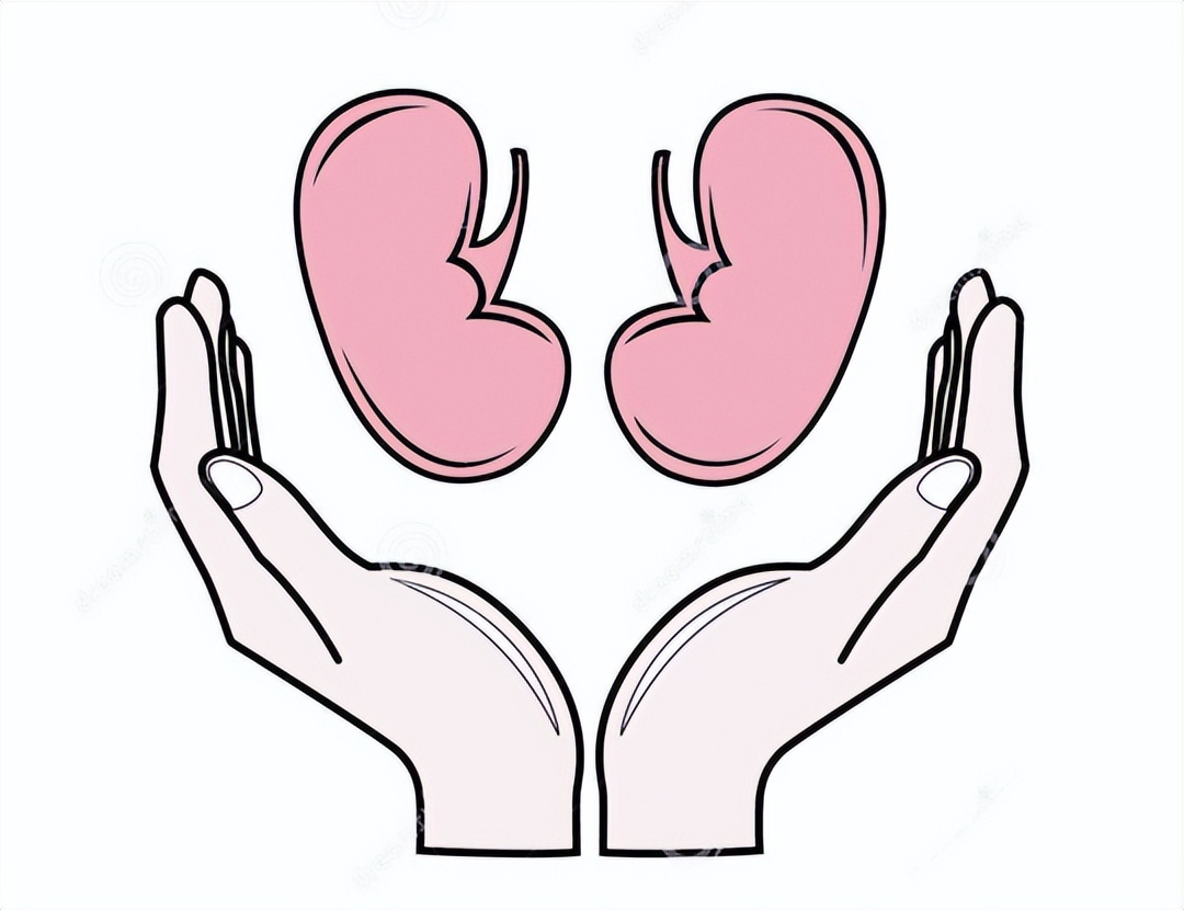 六味地黄丸补肾到底有没有效果,六味地黄丸能补肾吗吃多久能见效