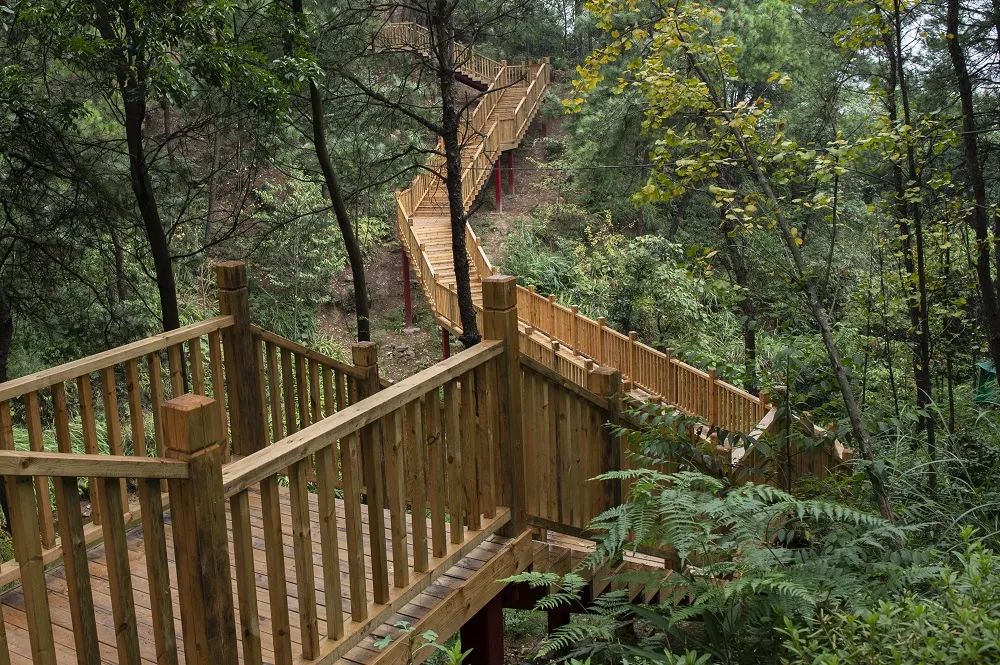 漫步山林空气清新,重庆森林步道