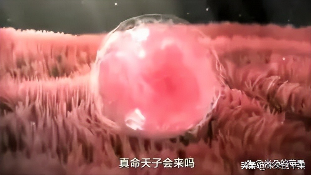 如果你不知道怎么对孩子进行性教育,一定要带他看这7个教育视频