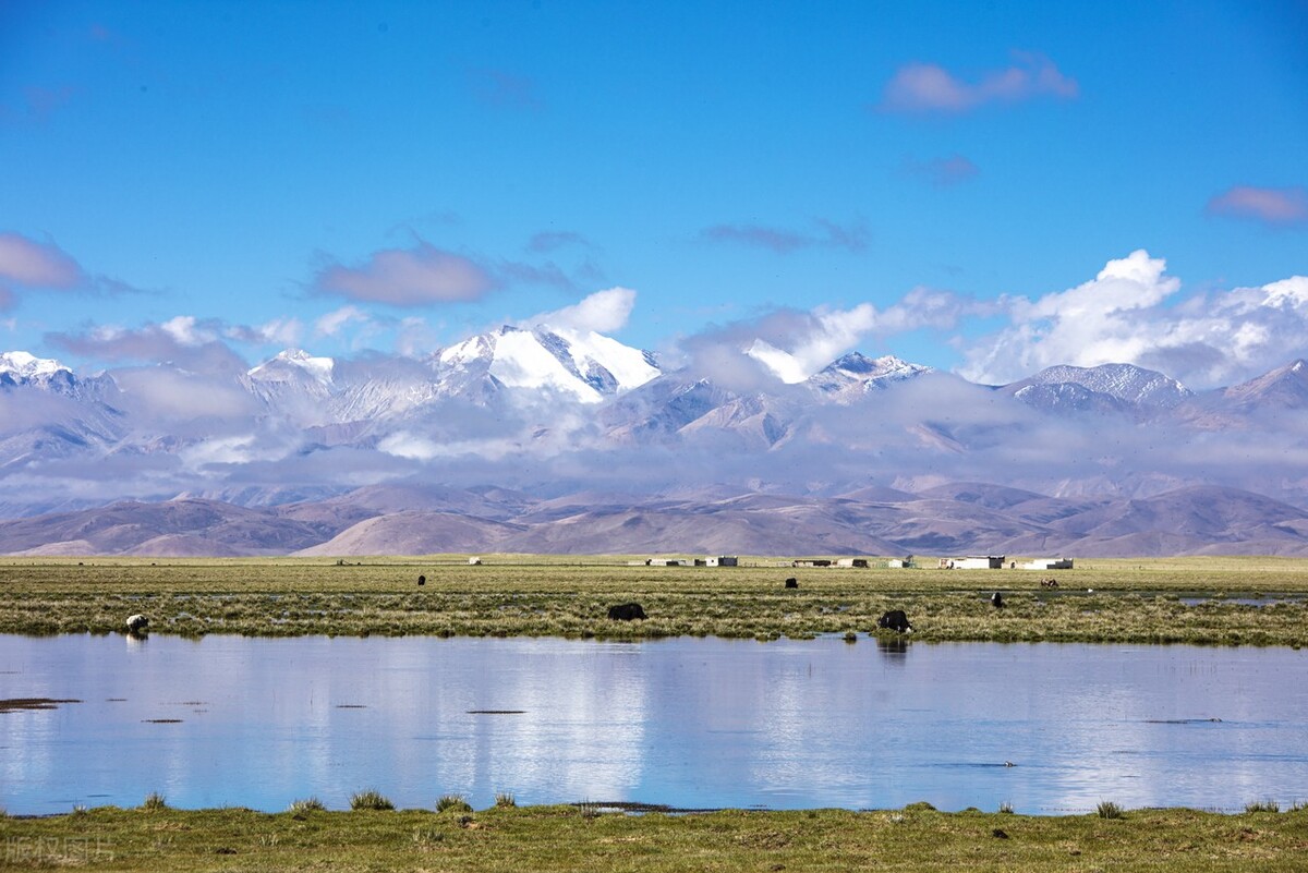 学生学会管理小金库的图片,学校设立小金库的方式