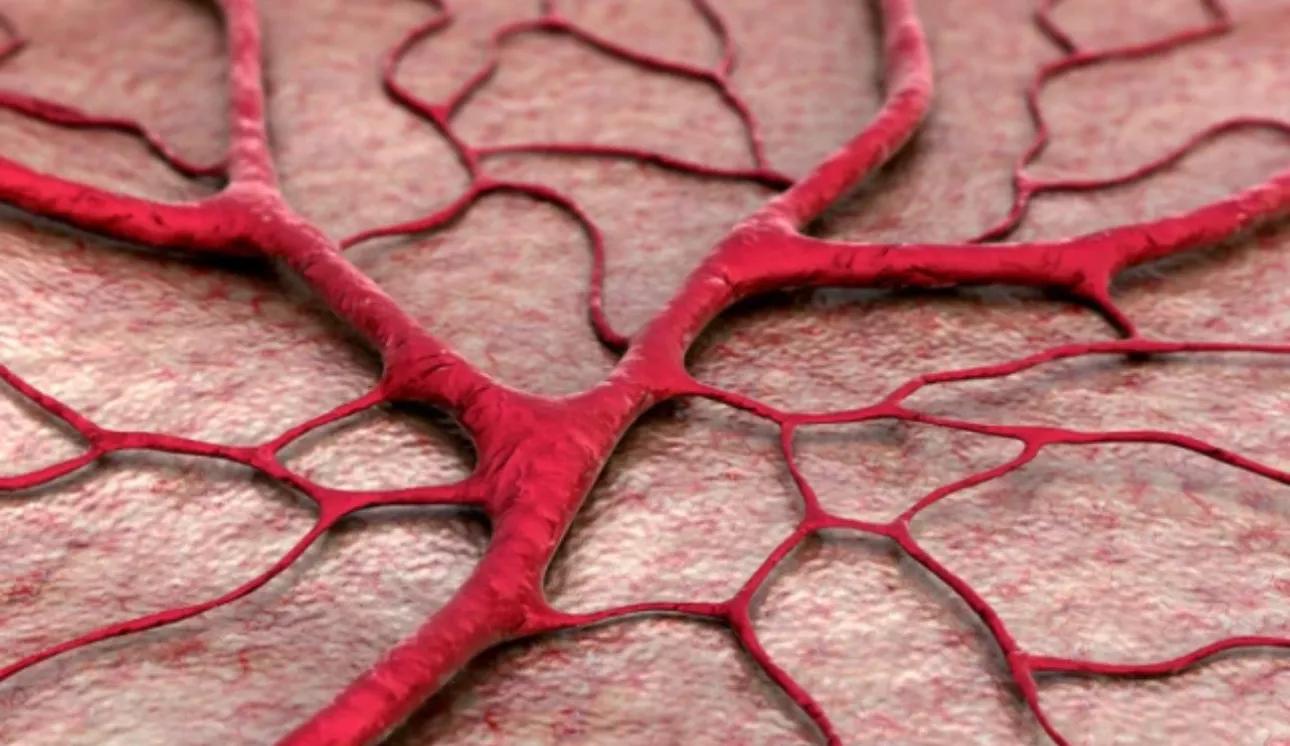 “原膳饮食：彻底告别加工食品，拥抱健康生活的新方式！”