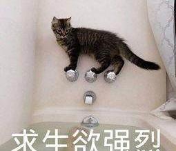 德国足球帅哥,德国足球最新消息