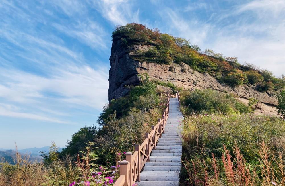 休闲农业与乡村旅游项目分析,休闲农业与乡村旅游什么时候开始