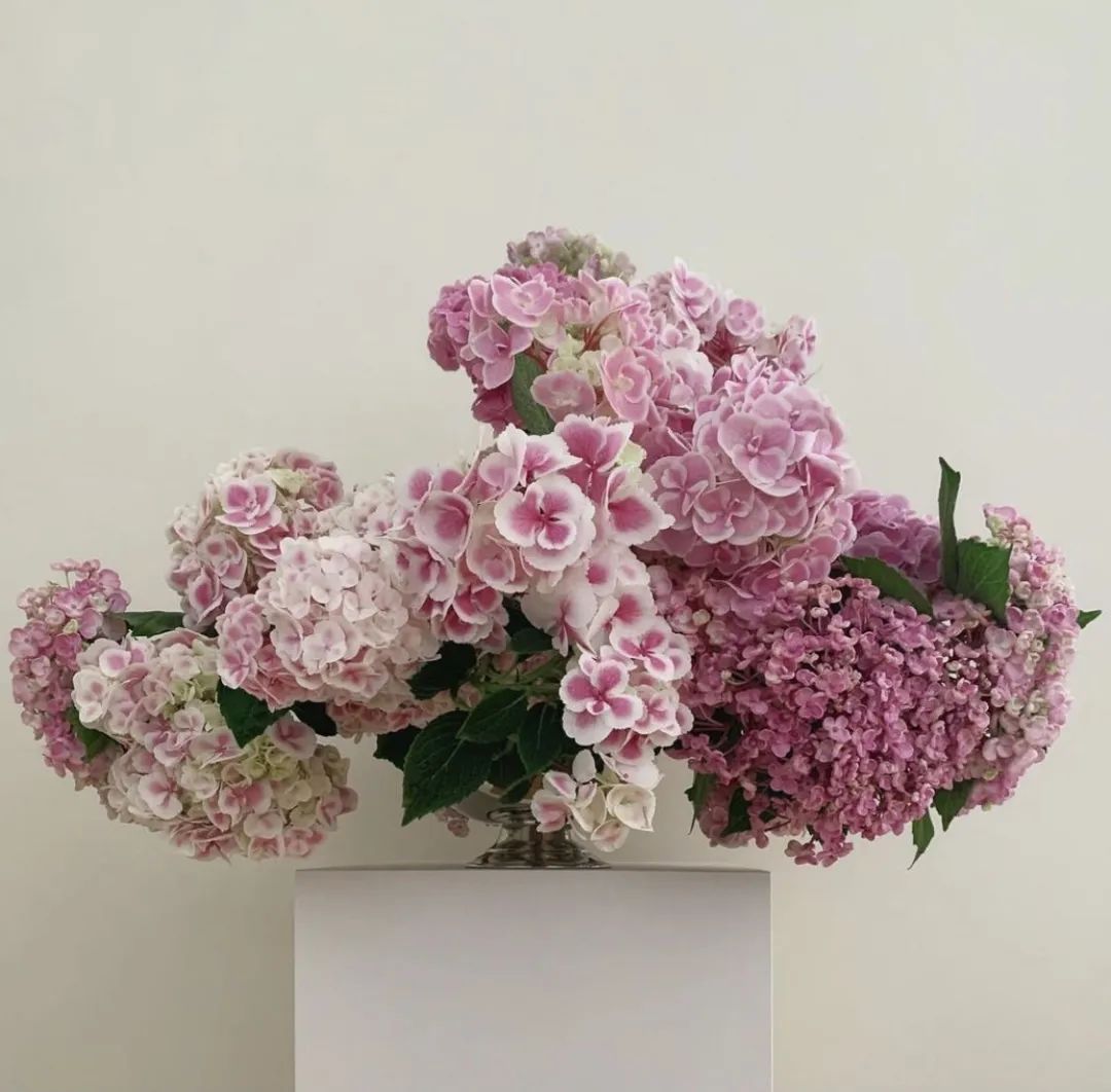 花店怎么快速开花,如何开花店步骤