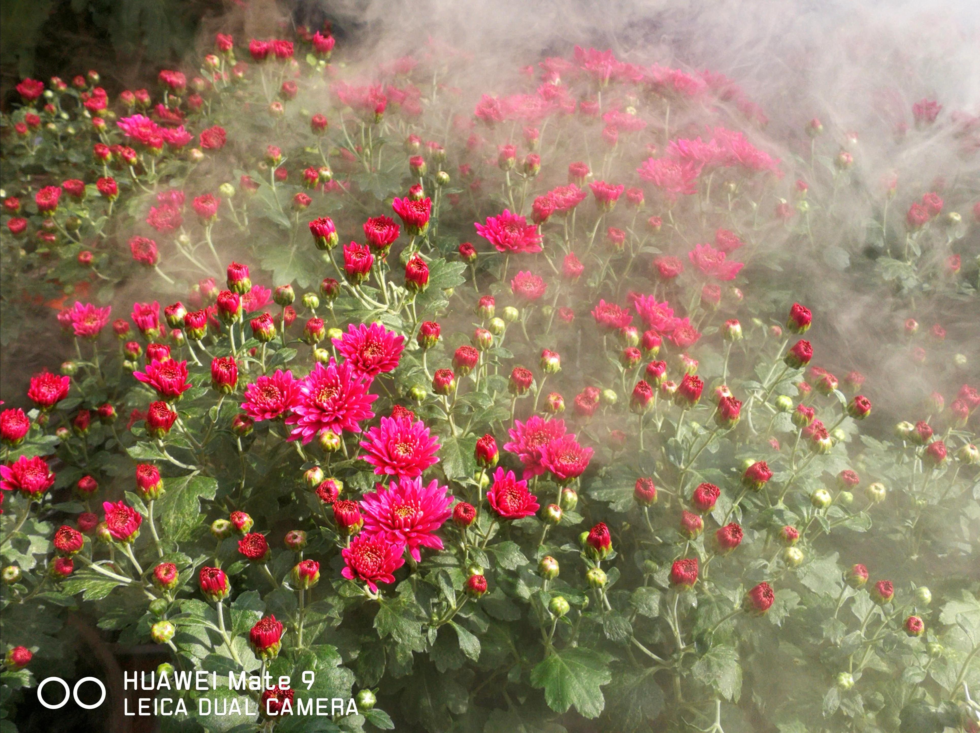 手拍世界作品专集,手拍世界283期