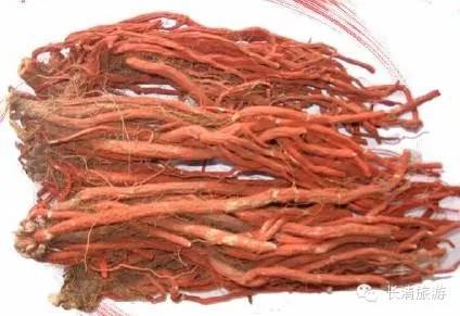 丹参的故事,丹参传奇故事