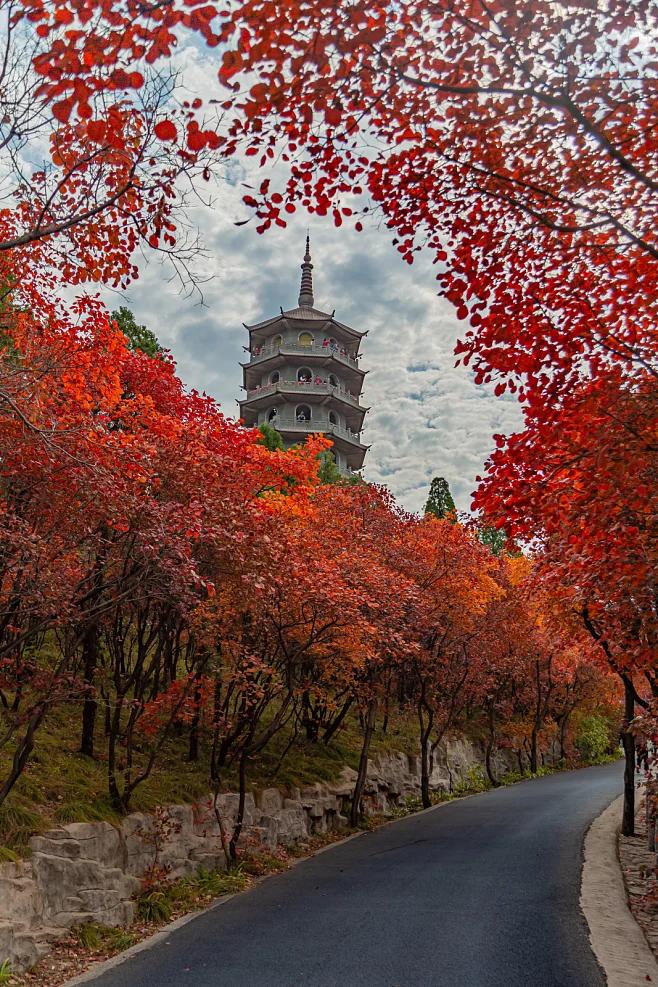 春季赏花景点有哪些,雅安周边春天赏花一日游最佳景点