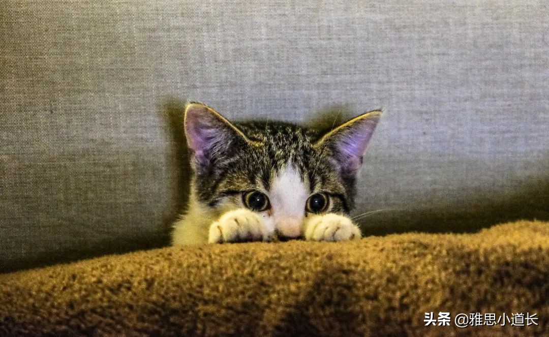 英语中例子的缩写是什么,一般举个例子用什么缩写代替