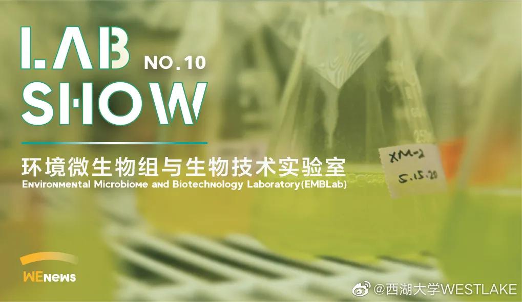 西湖大学招收60名本科生条件,和西湖大学类似的大学